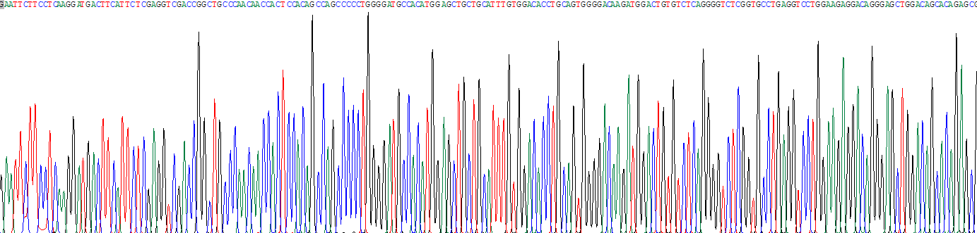 Recombinant Inositol-1,4,5-Trisphosphate Receptor Type 3 (ITPR3)