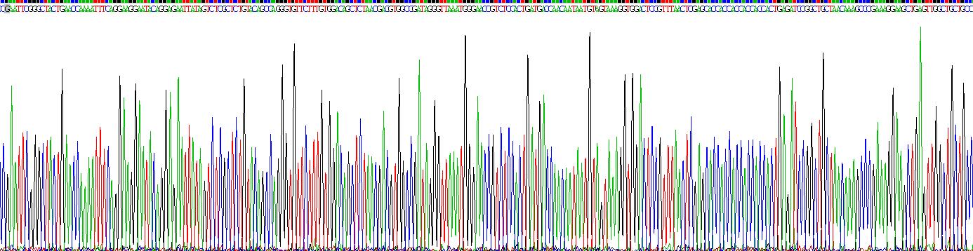 Recombinant Melatonin Receptor 1A (MTNR1A)