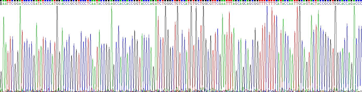 Recombinant Free Fatty Acid Receptor 2 (FFAR2)