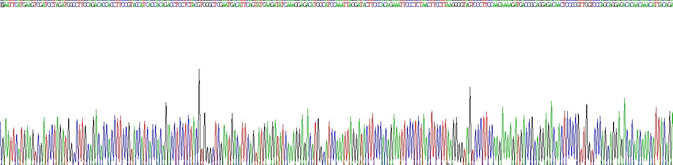 Recombinant Cannabinoid Receptor 1, Brain (CNR1)