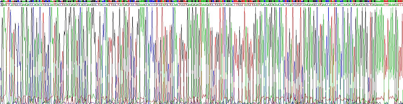 Recombinant Synaptosomal Associated Protein 25kDa (SNAP25)