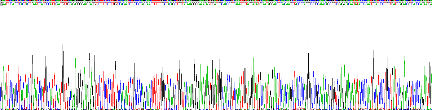 Recombinant Carcinoembryonic Antigen Related Cell Adhesion Molecule 1 (CEACAM1)