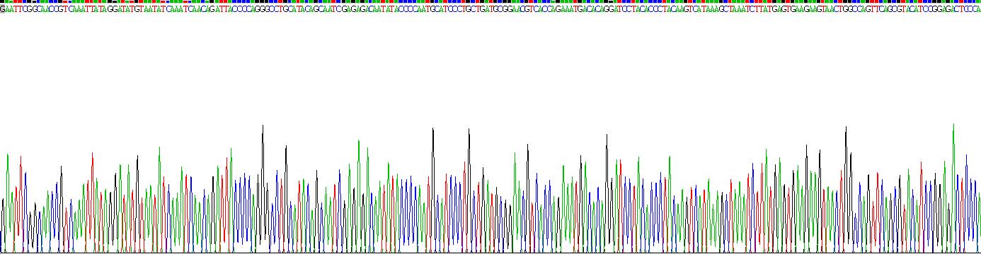 Recombinant Carcinoembryonic Antigen Related Cell Adhesion Molecule 8 (CEACAM8)