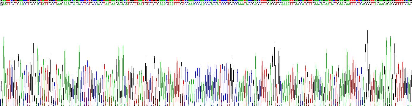 Recombinant Poly ADP Ribose Polymerase 4 (PARP4)