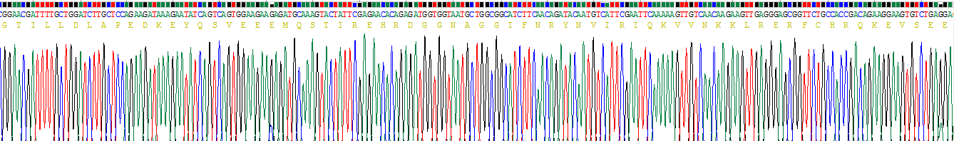 Recombinant Tankyrase 1 (TNKS1)