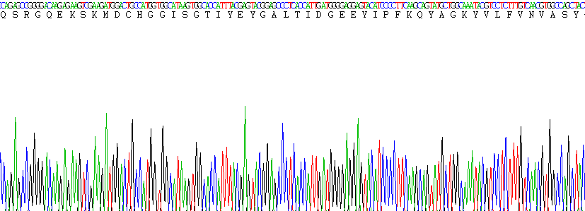 Recombinant Glutathione Peroxidase 3, Plasma (GPX3)