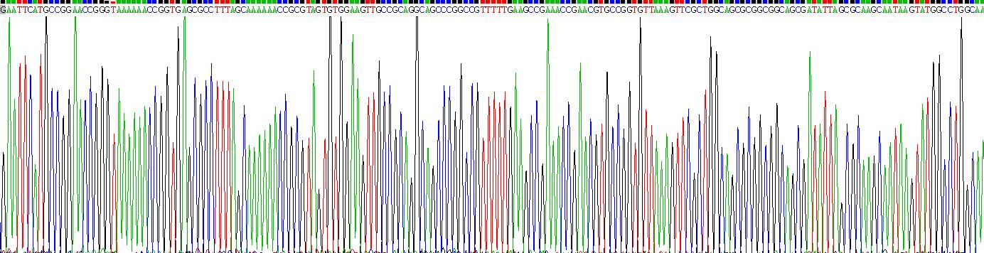 Recombinant Myosin Binding Protein C, Cardiac (MYBPC3)