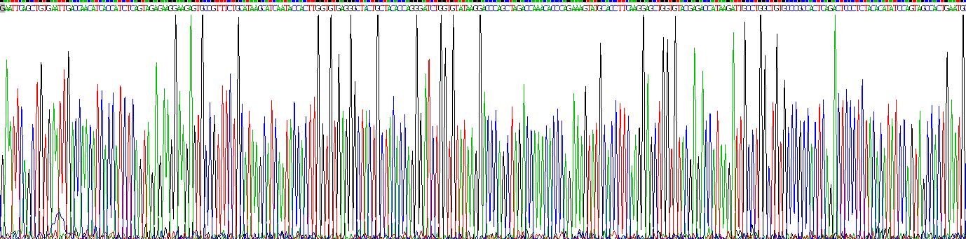 Recombinant Follicle Stimulating Hormone Beta (FSHb)