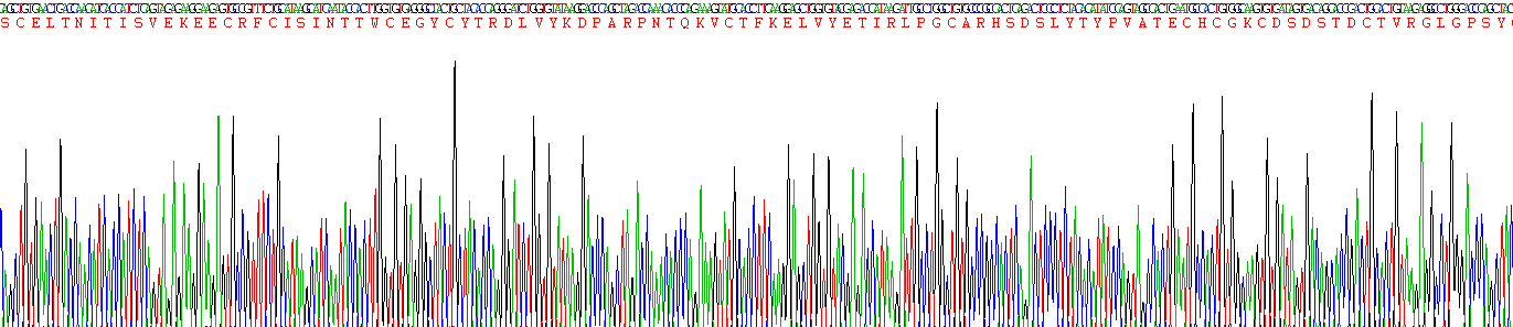 Recombinant Follicle Stimulating Hormone Beta (FSHb)