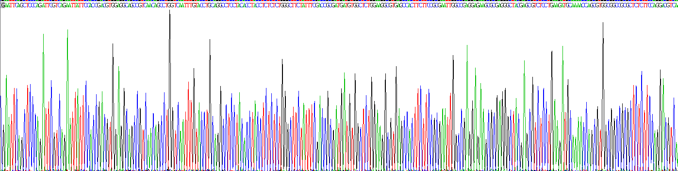 Recombinant Ferritin, Light Polypeptide (FTL)