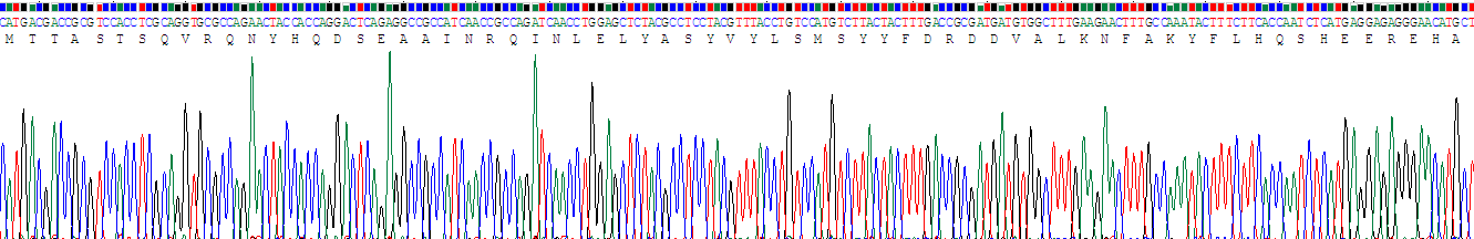 Recombinant Ferritin, Heavy Polypeptide (FTH)