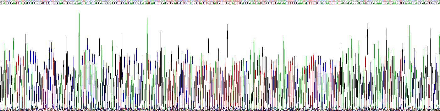 Recombinant Ferritin, Heavy Polypeptide (FTH)