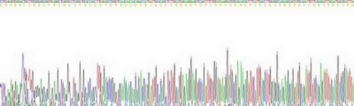 Recombinant Fibrinogen Like Protein 1 (FGL1)