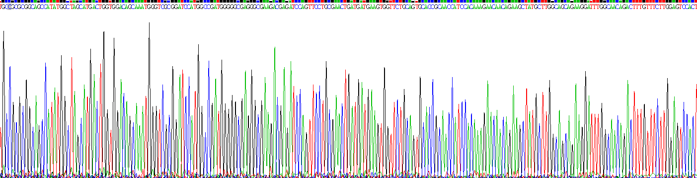 Recombinant Ryanodine Receptor 2, Cardiac (RYR2)