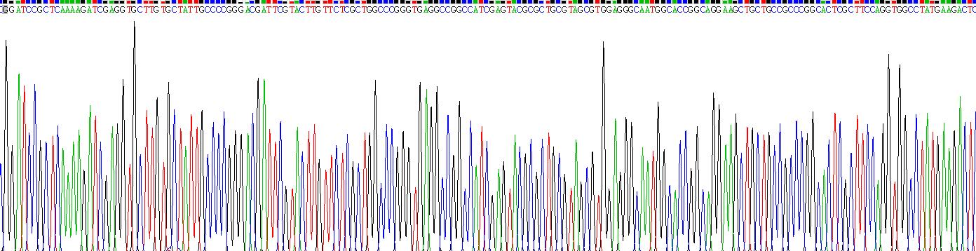 Recombinant Natriuretic Peptide Receptor 3 (NPR3)