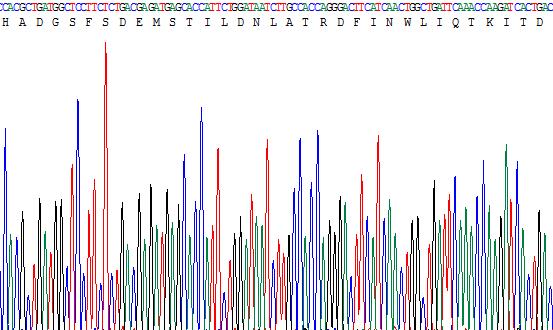 Recombinant Glucagon Like Peptide 2 (GLP2)