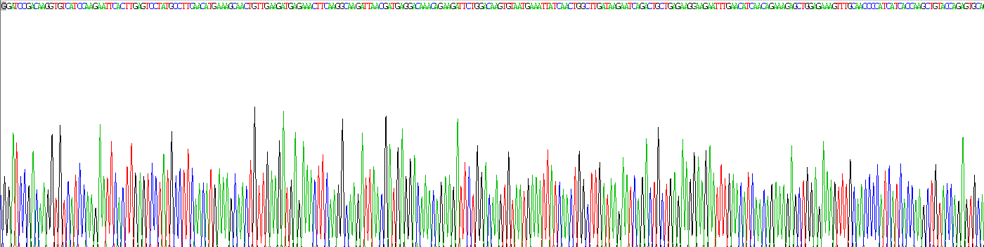 Recombinant Heat Shock 70kDa Protein 8 (HSPA8)