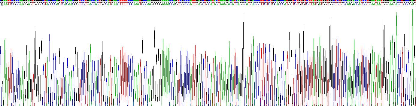 Recombinant Carbonic Anhydrase III, Muscle Specific (CA3)