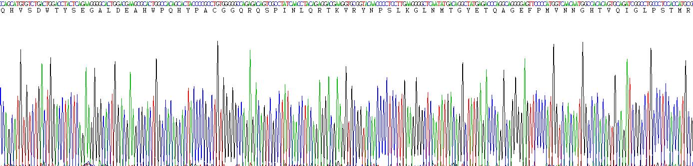 Recombinant Carbonic Anhydrase VI (CA6)