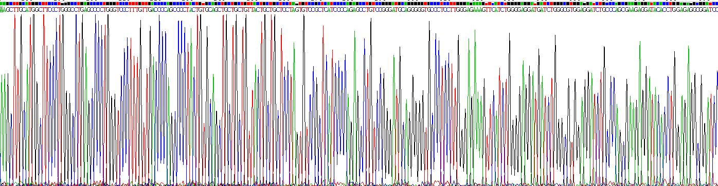 Recombinant Carbonic Anhydrase IX (CA9)