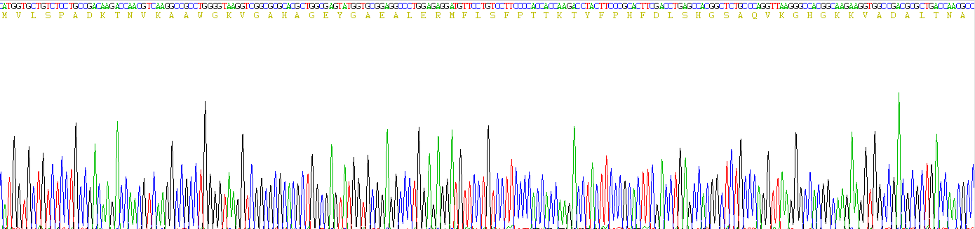 Recombinant Hemoglobin Alpha 1 (HBa1)