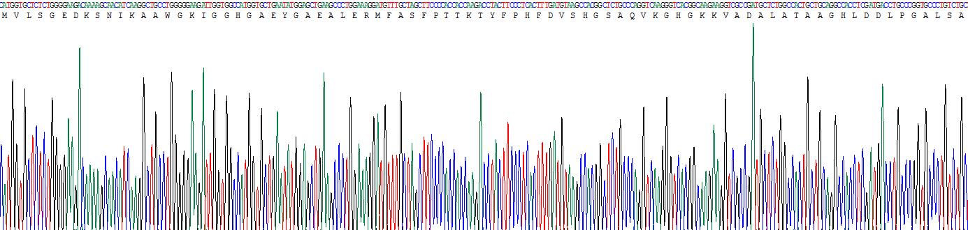 Recombinant Hemoglobin Alpha 1 (HBa1)