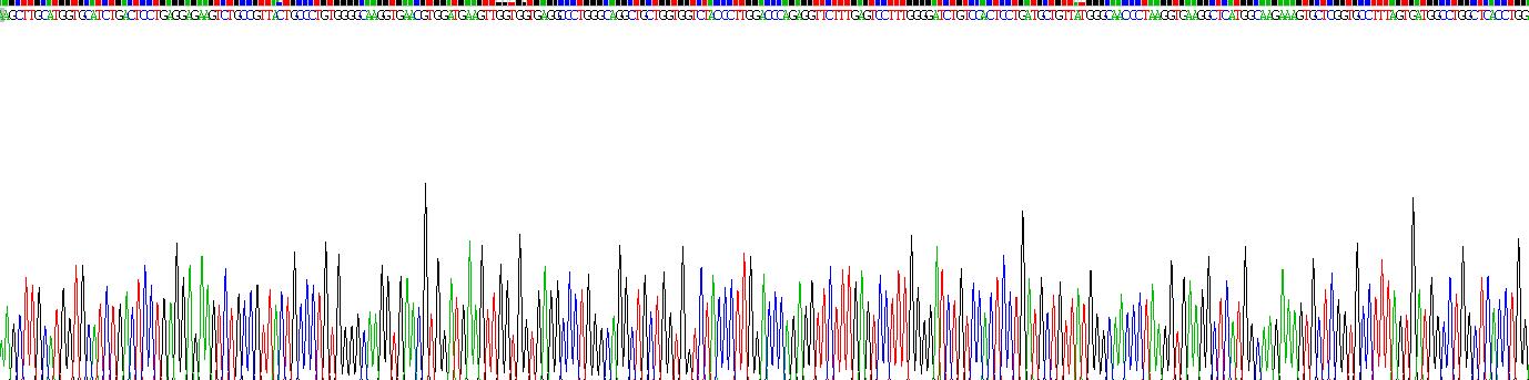 Recombinant Hemoglobin Delta (HBd)