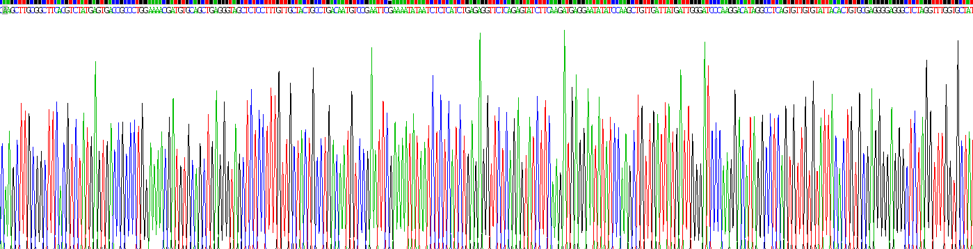 Recombinant Low Density Lipoprotein Receptor Related Protein 2 (LRP2)