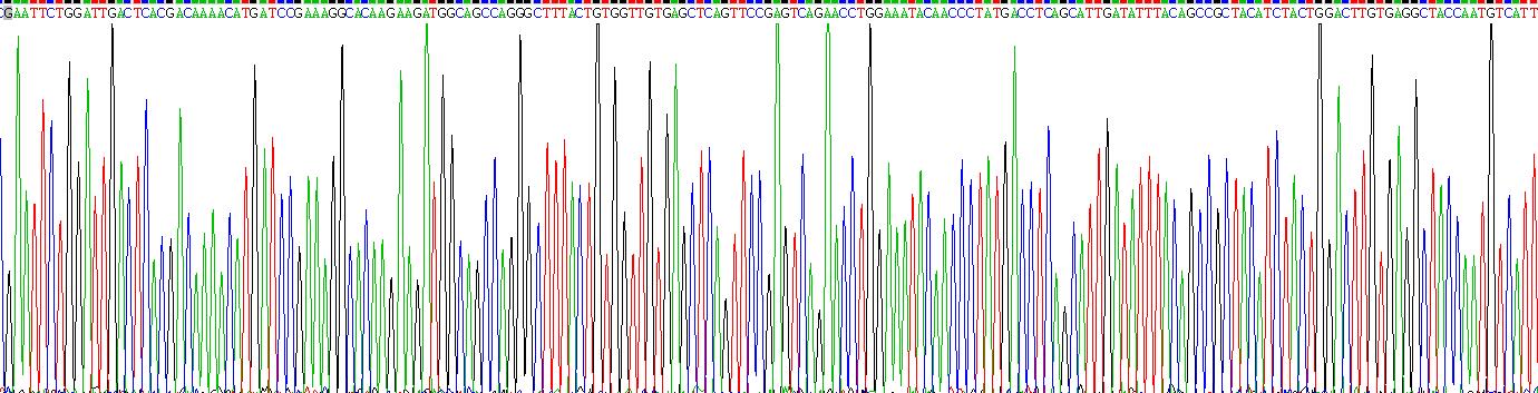 Recombinant Low Density Lipoprotein Receptor Related Protein 6 (LRP6)