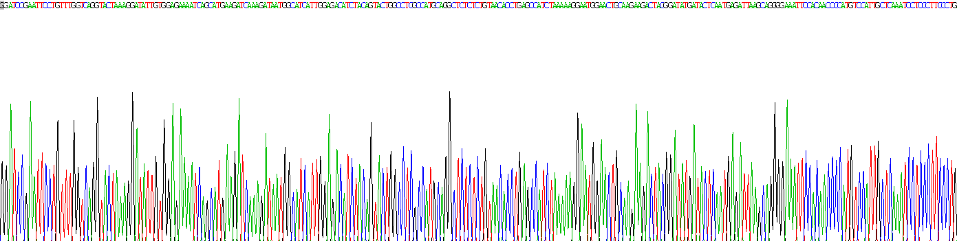 Recombinant Gastric Intrinsic Factor (GIF)