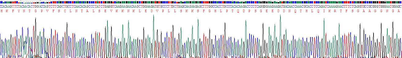 Recombinant Urocortin 3 (UCN3)