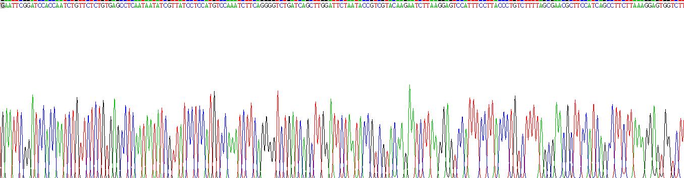 Recombinant Cholinergic Receptor, Nicotinic, Alpha 6 (CHRNa6)