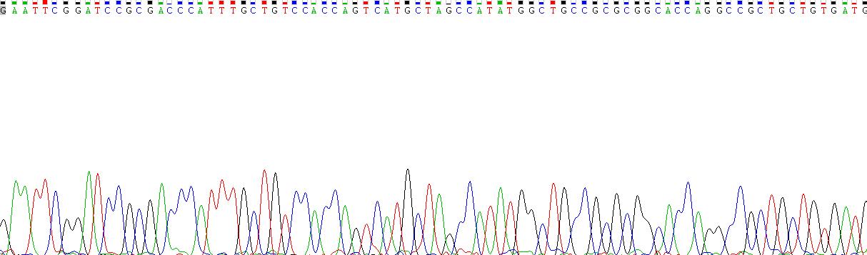 Recombinant Cholinergic Receptor, Nicotinic, Beta 4 (CHRNb4)