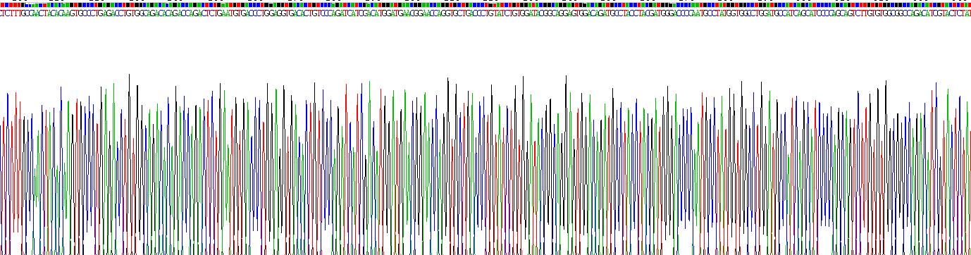 Recombinant Cholinergic Receptor, Nicotinic, Alpha 10 (CHRNa10)