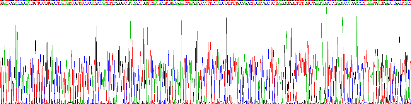 Recombinant Ribonuclease A2 (RNASE2)