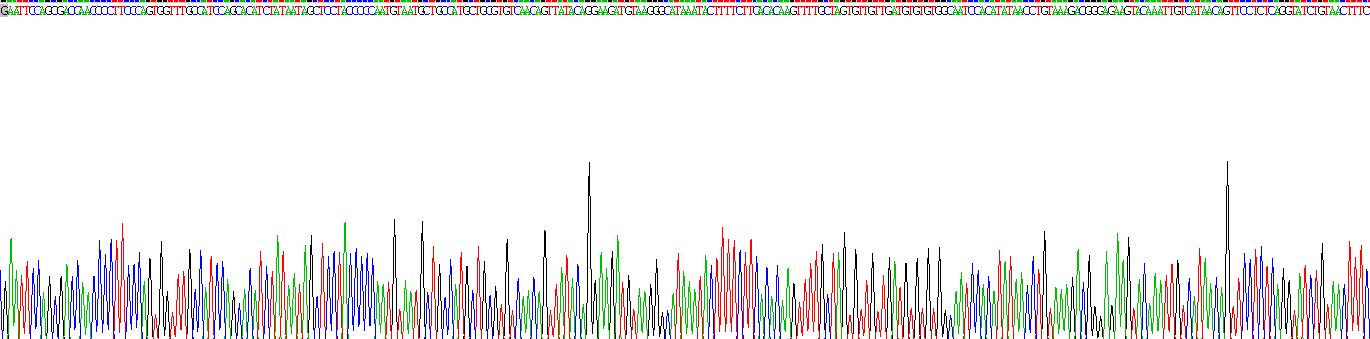 Recombinant Ribonuclease A2 (RNASE2)