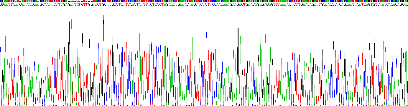 Recombinant Interferon Epsilon (IFNe)