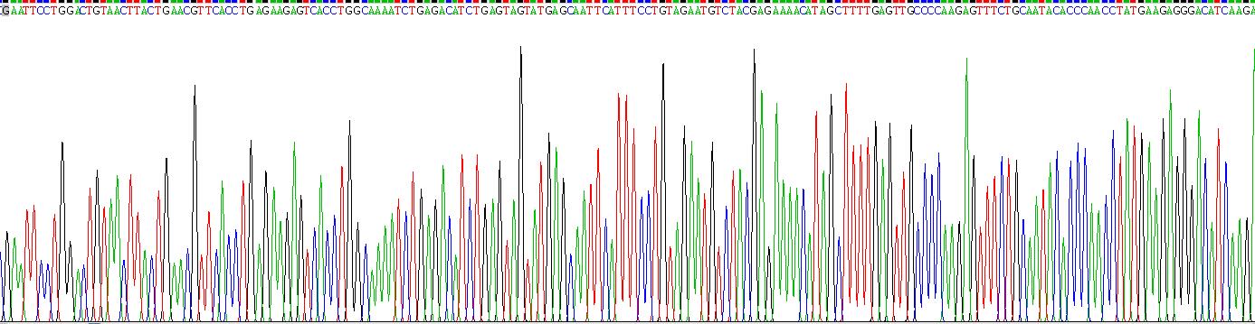 Recombinant Interferon Kappa (IFNk)