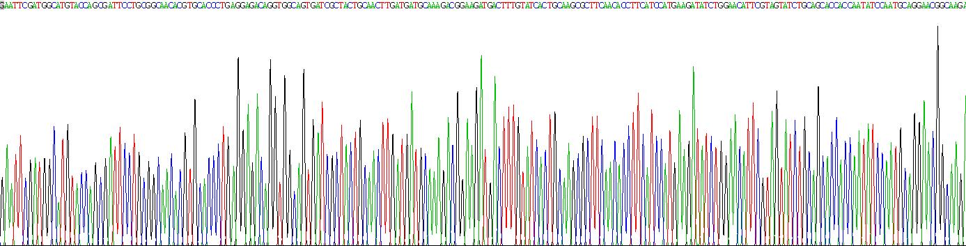 Recombinant Ribonuclease A4 (RNASE4)