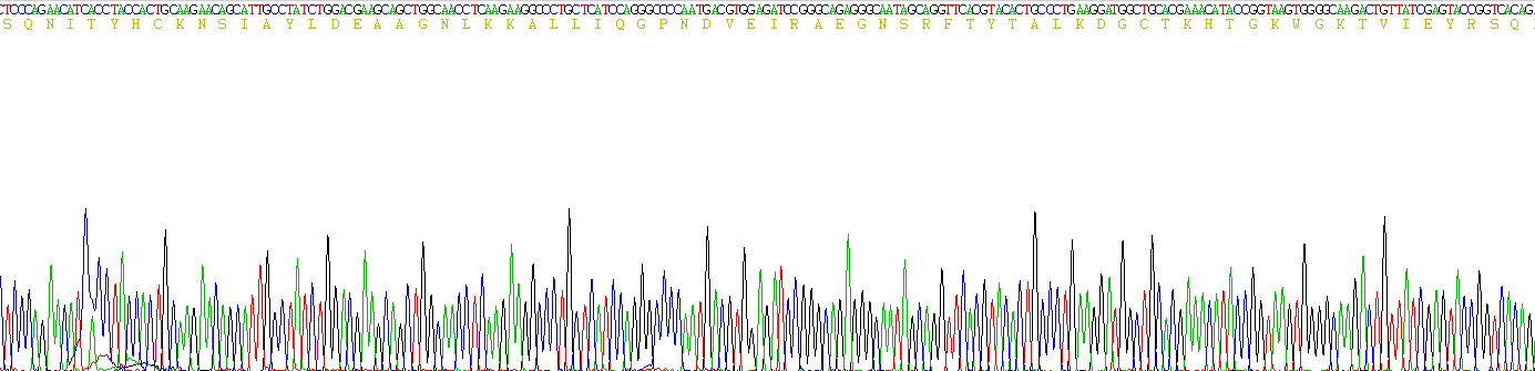 Recombinant Collagen Type II Alpha 1 (COL2a1)