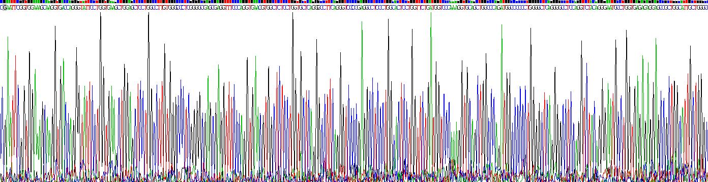 Recombinant Collagen Type II Alpha 1 (COL2a1)