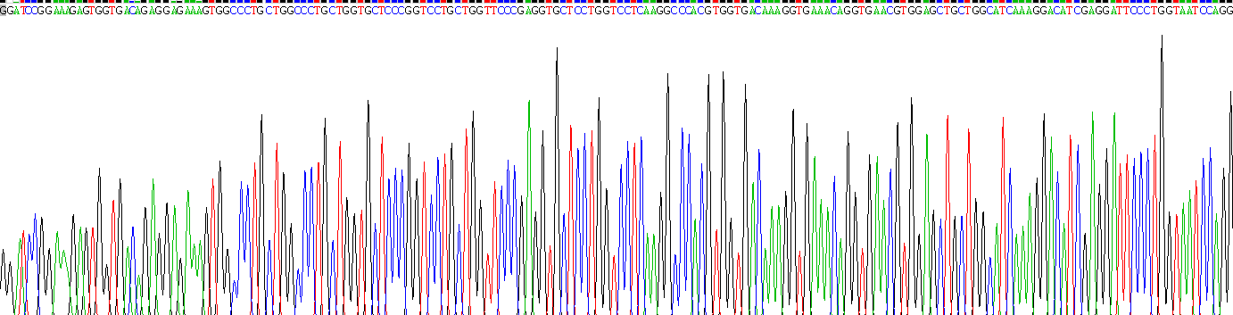 Recombinant Collagen Type III Alpha 1 (COL3a1)