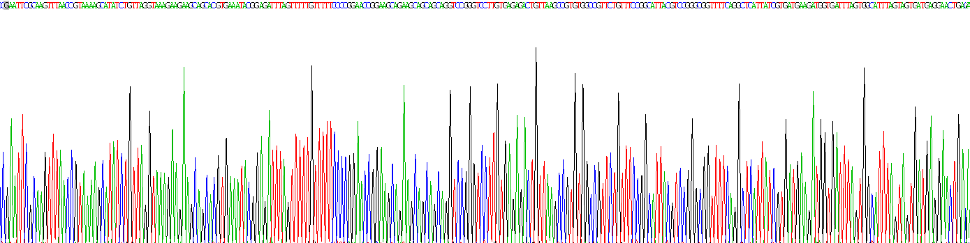 Recombinant Sequestosome 1 (SQSTM1)