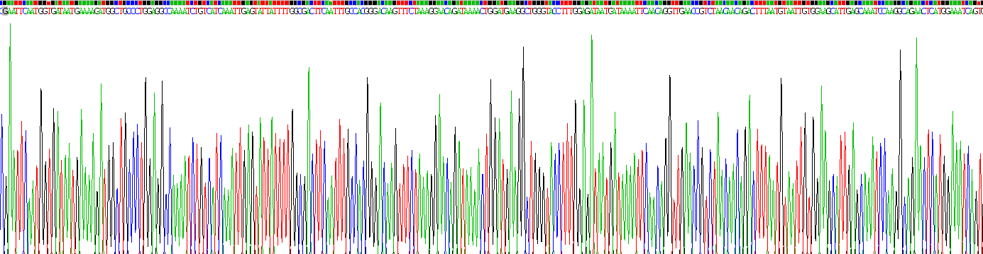 Recombinant Sjogren Syndrome Antigen B (SSB)