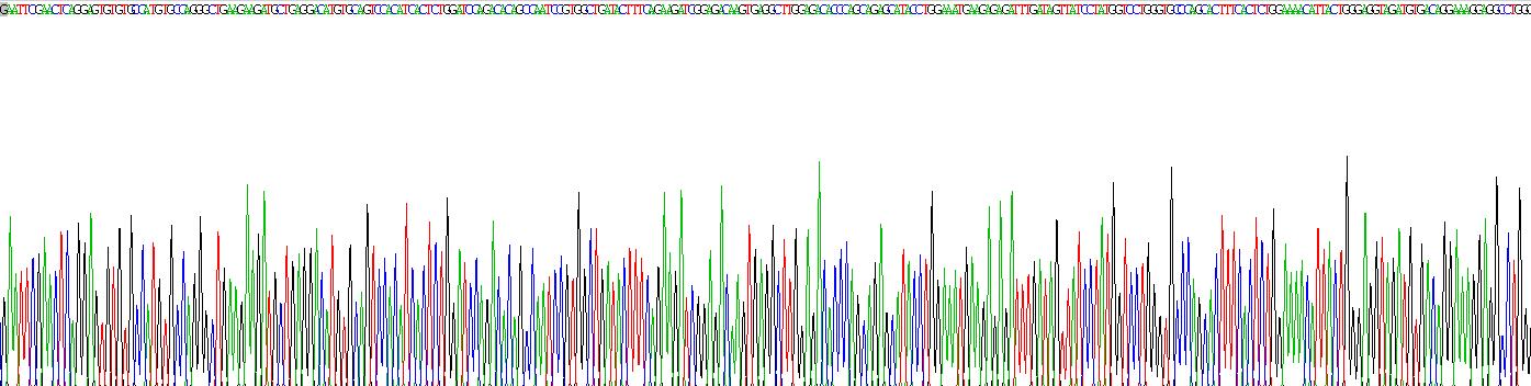 Recombinant Sjogren Syndrome Antigen A1 (SSA1)