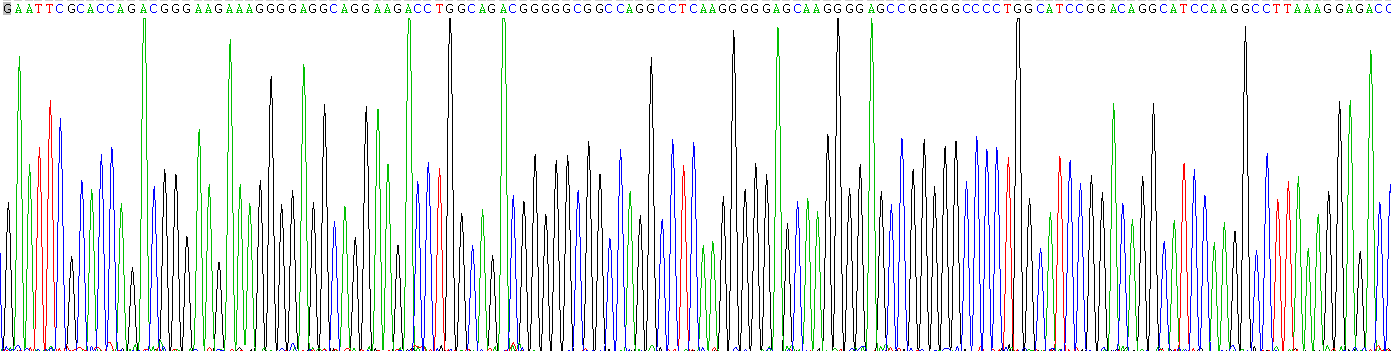 Recombinant Complement Component 1, Q Subcomponent A (C1qA)