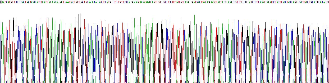 Recombinant Thyroid Stimulating Hormone Beta (TSHb)