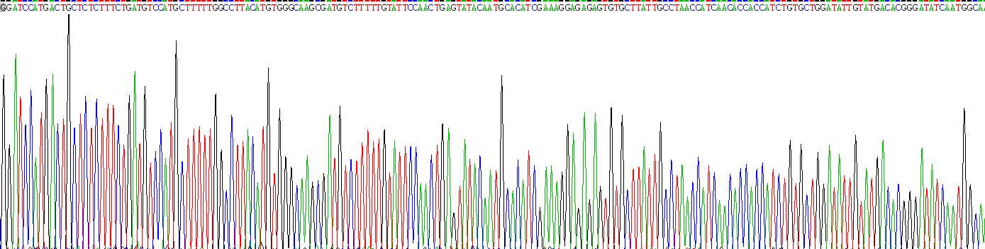 Recombinant Thyroid Stimulating Hormone Beta (TSHb)