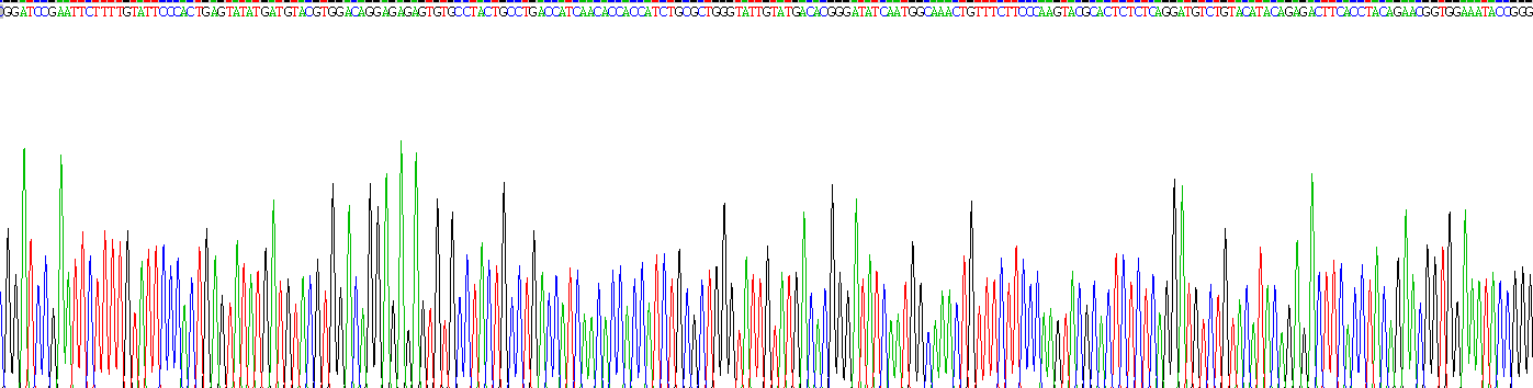 Recombinant Thyroid Stimulating Hormone Beta (TSHb)