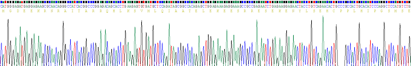 Recombinant Troponin I Type 2, Fast Skeletal (TNNI2)